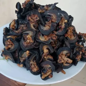 Briquette Dried Snails