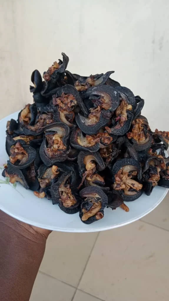 Briquette Dried Snails